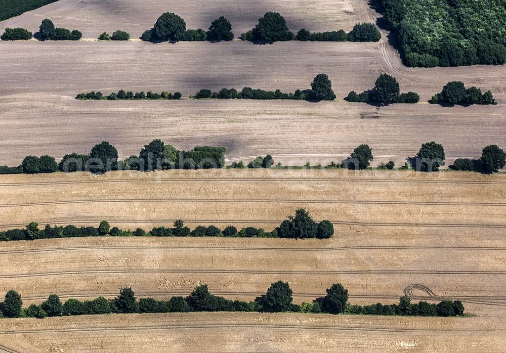 Rohlstorf from the bird's eye view: Grain-field structures in Rohlstorf in the federal state Schleswig - Holstein. Crease scenery