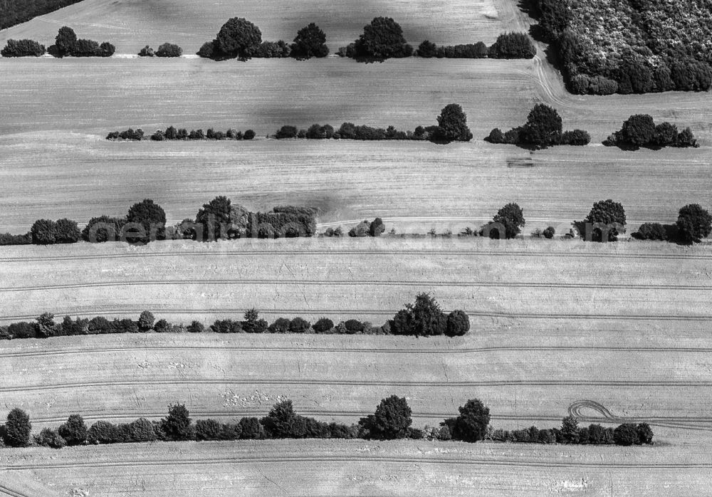 Aerial image Rohlstorf - Grain-field structures in Rohlstorf in the federal state Schleswig - Holstein. Crease scenery