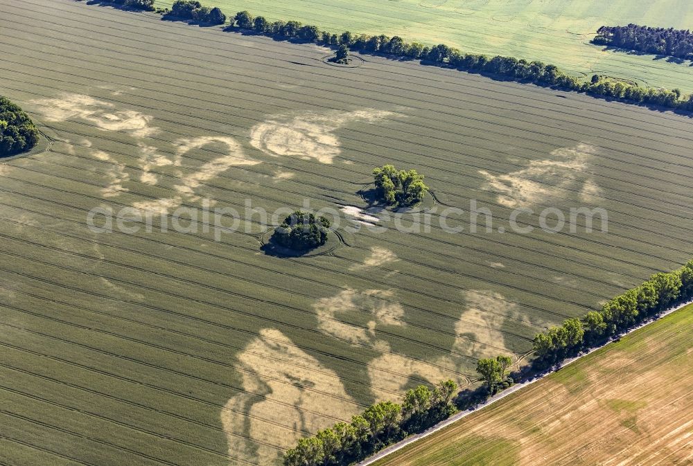 Aerial image Wittstock/Dosse - Dry damages in grain-field structures in Wittstock / Dosse in the federal state Brandenburg