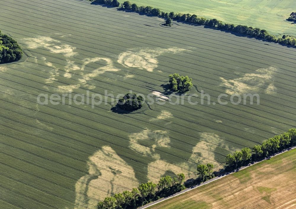 Aerial photograph Wittstock/Dosse - Dry damages in grain-field structures in Wittstock / Dosse in the federal state Brandenburg