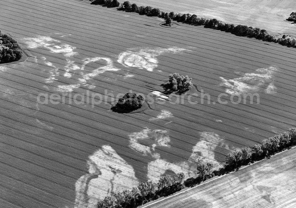 Wittstock/Dosse from above - Dry damages in grain-field structures in Wittstock / Dosse in the federal state Brandenburg