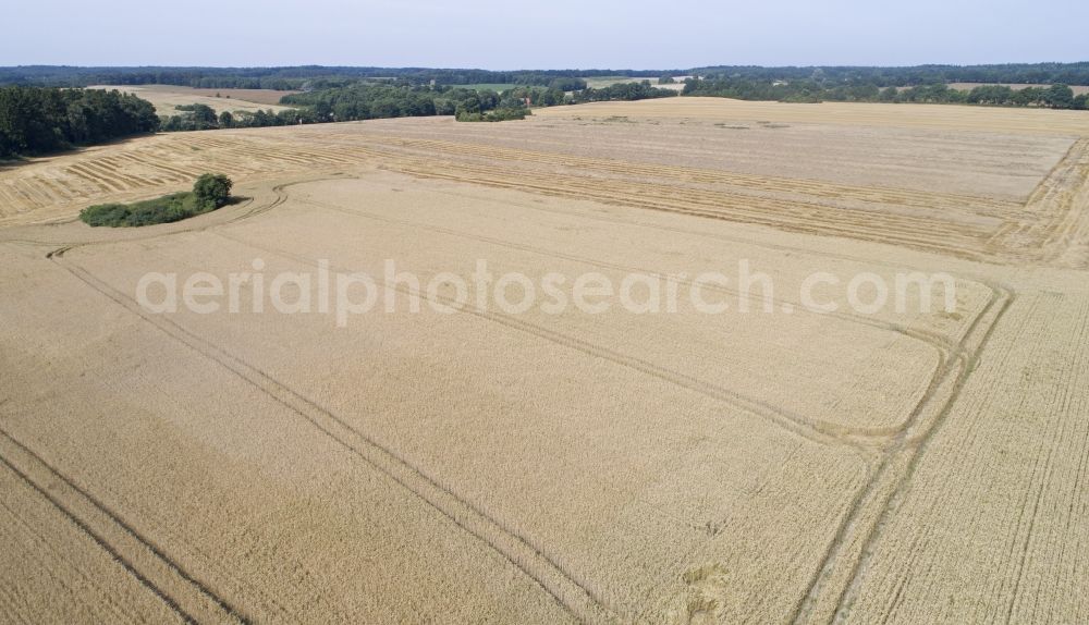 Aerial image Zapel - Grain field at harvest time in Zapel in the state Mecklenburg - Western Pomerania, Germany