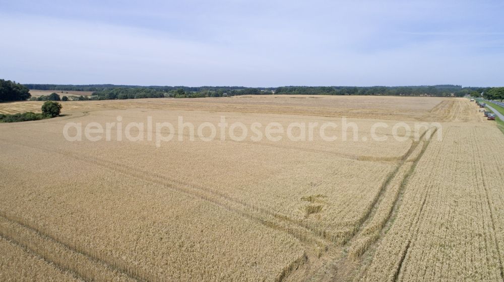 Aerial photograph Zapel - Grain field at harvest time in Zapel in the state Mecklenburg - Western Pomerania, Germany