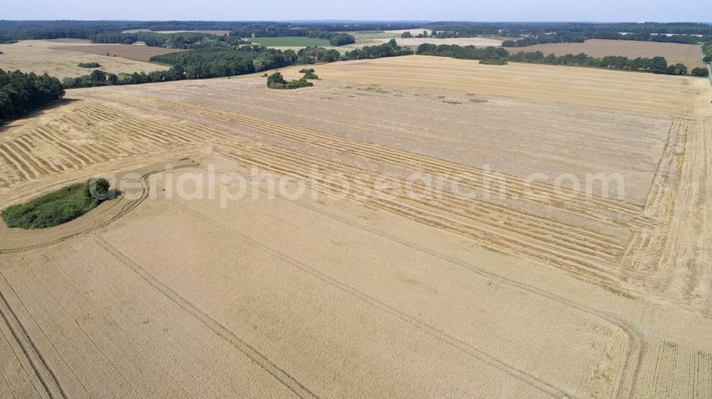 Zapel from above - Grain field at harvest time in Zapel in the state Mecklenburg - Western Pomerania, Germany