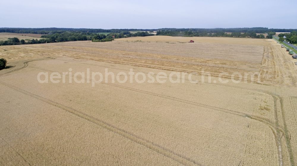 Zapel from the bird's eye view: Grain field at harvest time in Zapel in the state Mecklenburg - Western Pomerania, Germany