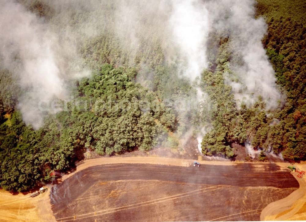 Aerial image Buckow - Getreidefeldbrand südlich von Buckow in der Märkischen Schweiz am 09.07.02 gegen 14:00 Uhr MEZ