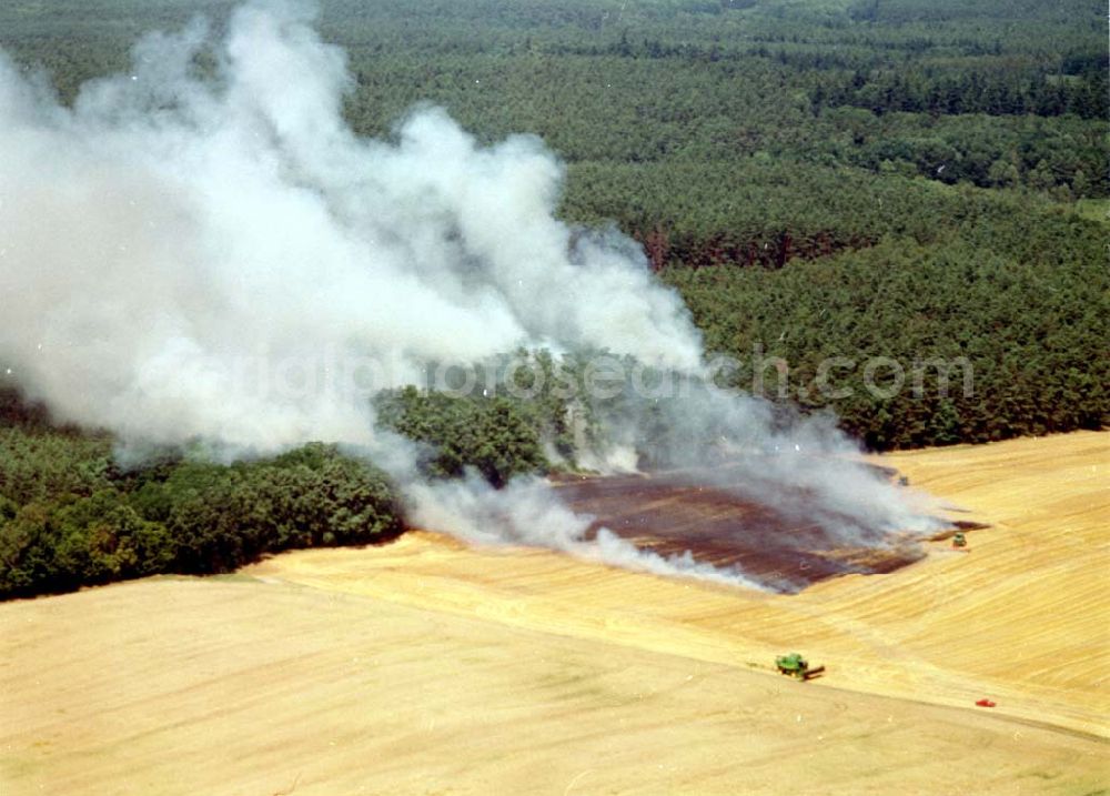 Buckow from above - Getreidefeldbrand südlich von Buckow in der Märkischen Schweiz am 09.07.02 gegen 14:00 Uhr MEZ