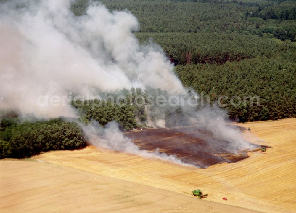 Buckow from the bird's eye view: Getreidefeldbrand südlich von Buckow in der Märkischen Schweiz am 09.07.02 gegen 14:00 Uhr MEZ