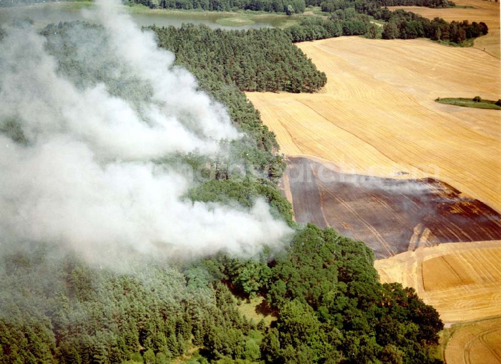 Buckow from the bird's eye view: Getreidefeldbrand südlich von Buckow in der Märkischen Schweiz am 09.07.02 gegen 14:00 Uhr MEZ