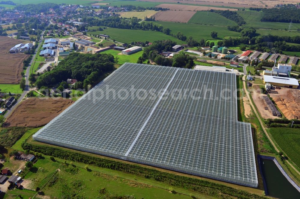 Schkölen from the bird's eye view: Greenhouse plant for tomato production in Schkölen in Thuringia