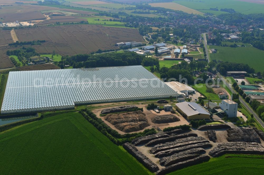 Aerial image Schkölen - Greenhouse plant for tomato production in Schkölen in Thuringia