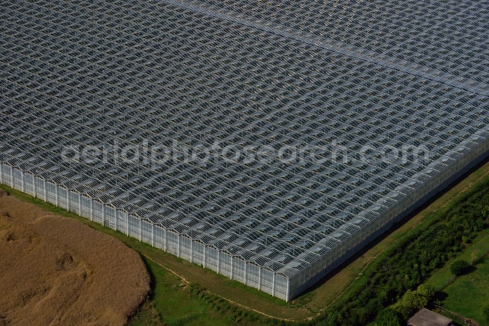 Schkölen from the bird's eye view: Greenhouse plant for tomato production of the company Biowaerme Gemuese Schkoelen GmbH on the street Zschorgulaer Strasse in Schkoelen in the state of Thuringia