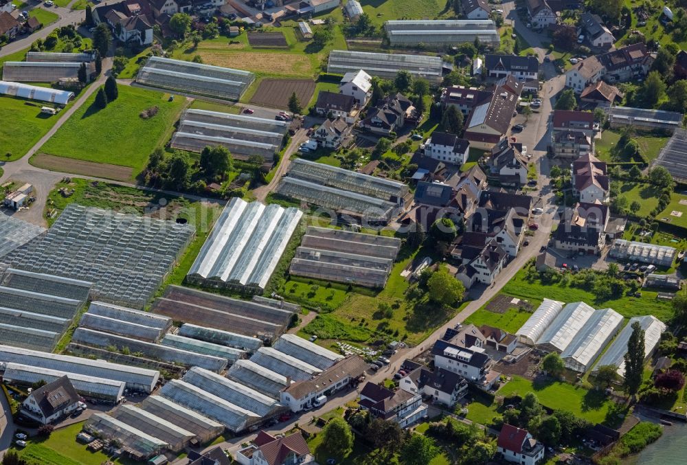 Aerial photograph Reichenau - Glass roof surfaces in the greenhouse for vegetable growing ranks auf of Bodensee Insel in Reichenau in the state Baden-Wuerttemberg, Germany