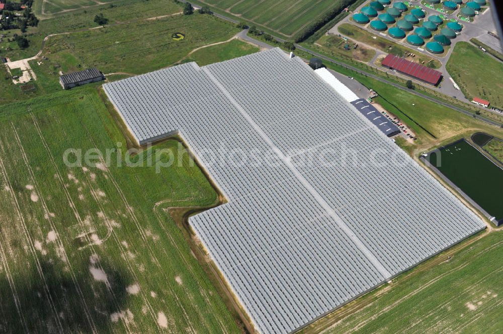 Aerial image Felgentreu - Greenhouses for vegetable production in Brandenburg Felgentreu