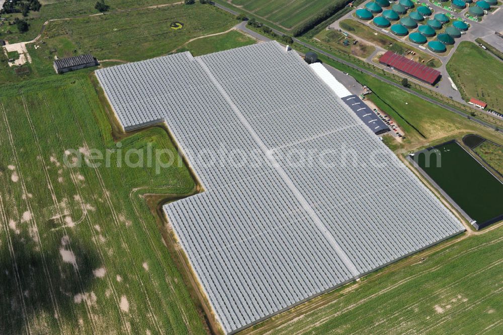 Aerial photograph Felgentreu - Greenhouses for vegetable production in Brandenburg Felgentreu