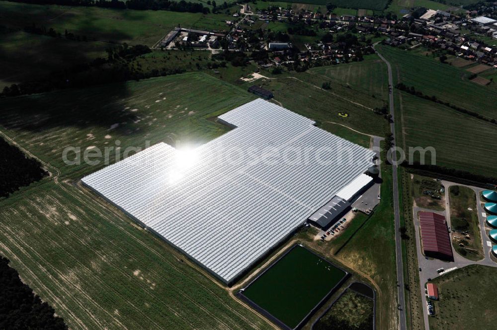 Aerial photograph Felgentreu - Greenhouses for vegetable production in Brandenburg Felgentreu