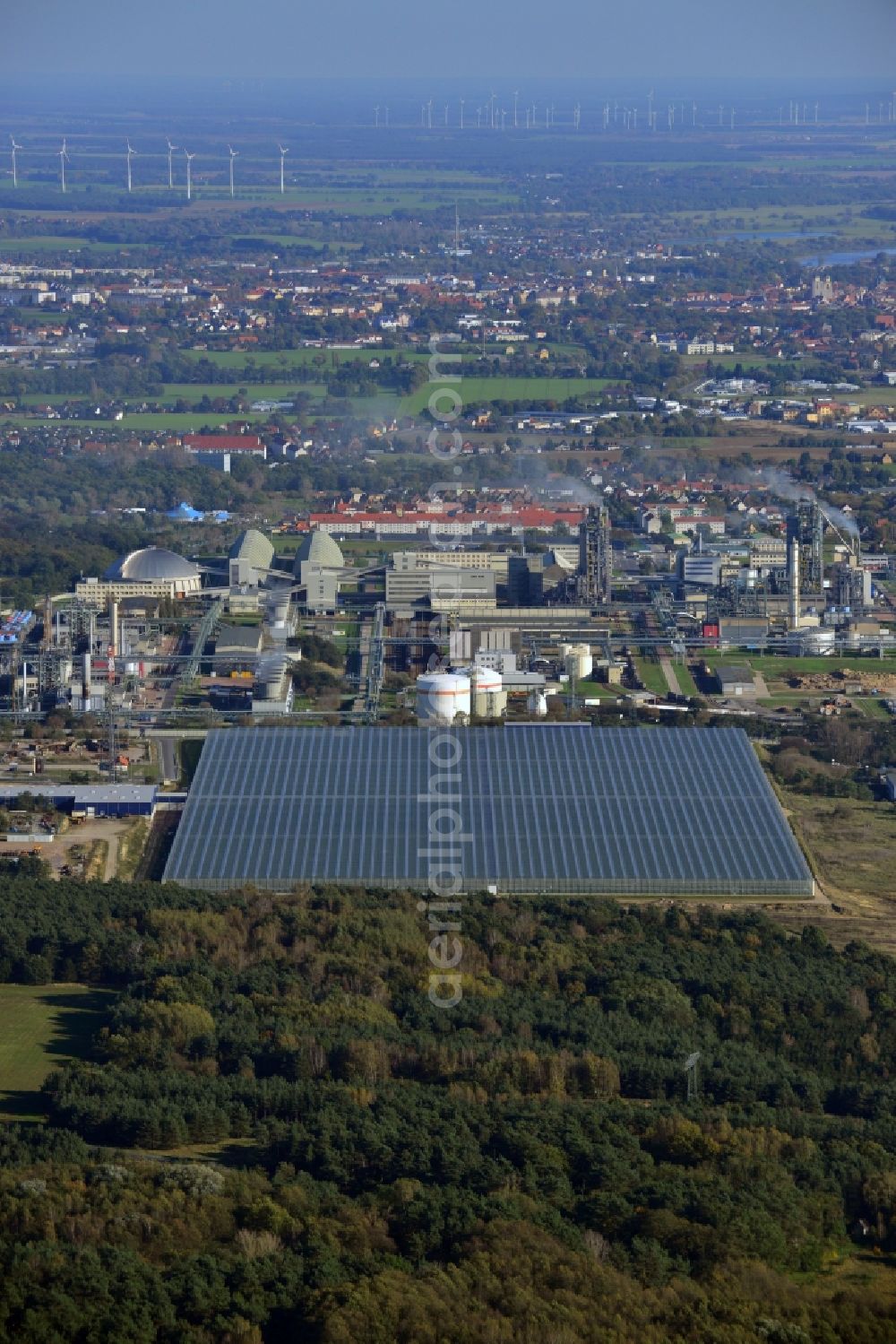 Lutherstadt Wittenberg from the bird's eye view: New greenhouse for tomato cultivation of vegetables Wittenberg GmbH on Apollensdorf district - Piesteritz in Wittenberg in Saxony-Anhalt