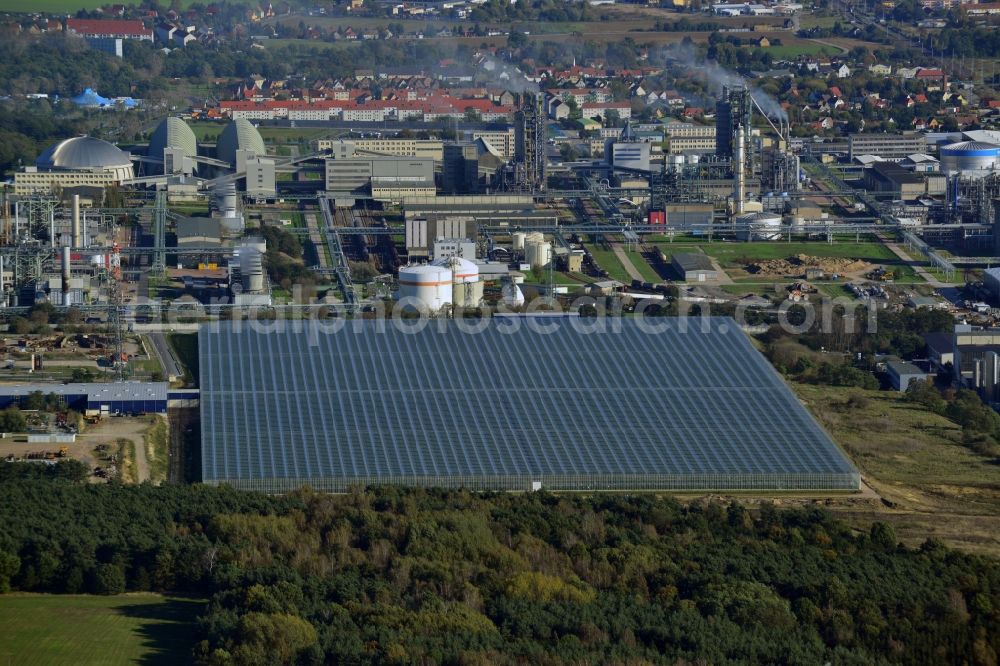 Aerial image Lutherstadt Wittenberg - New greenhouse for tomato cultivation of vegetables Wittenberg GmbH on Apollensdorf district - Piesteritz in Wittenberg in Saxony-Anhalt