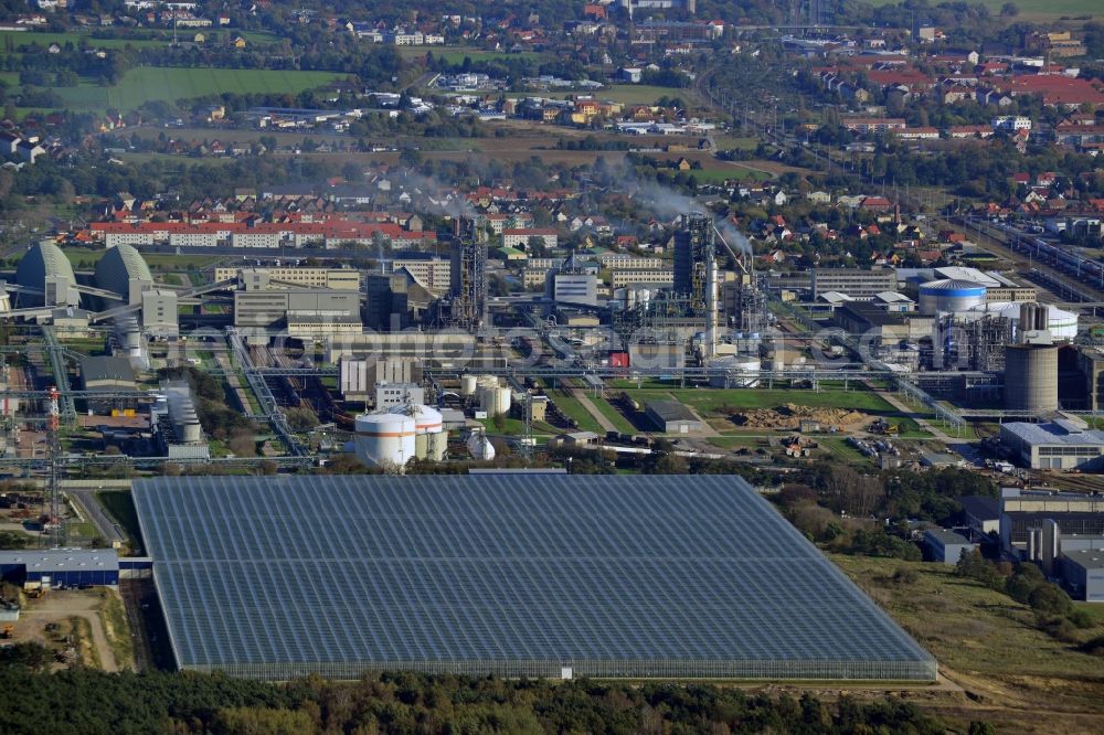 Aerial photograph Lutherstadt Wittenberg - New greenhouse for tomato cultivation of vegetables Wittenberg GmbH on Apollensdorf district - Piesteritz in Wittenberg in Saxony-Anhalt