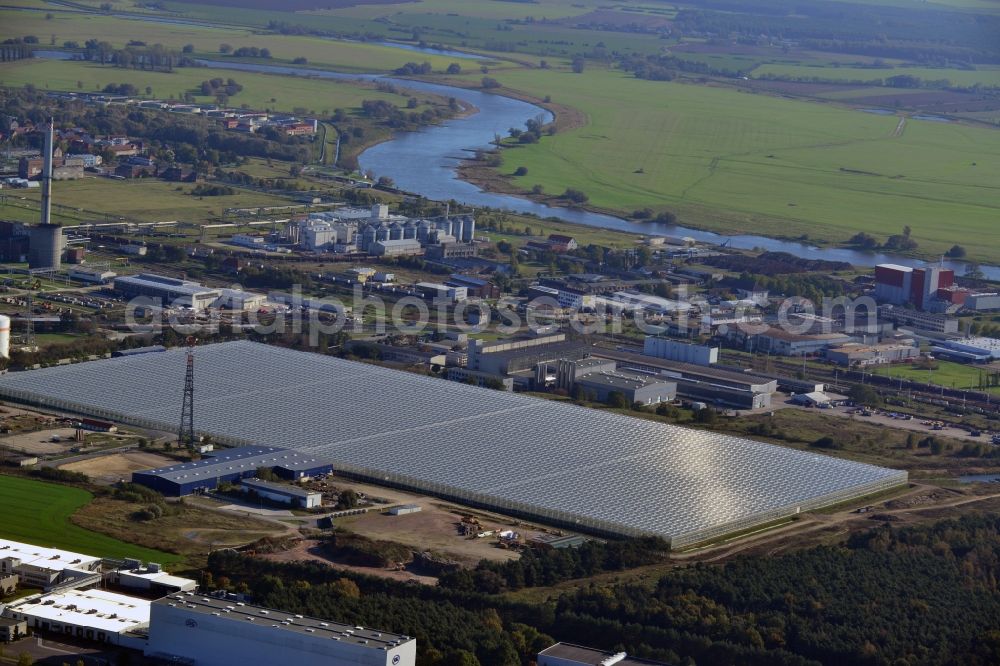 Lutherstadt Wittenberg from above - New greenhouse for tomato cultivation of vegetables Wittenberg GmbH on Apollensdorf district - Piesteritz in Wittenberg in Saxony-Anhalt