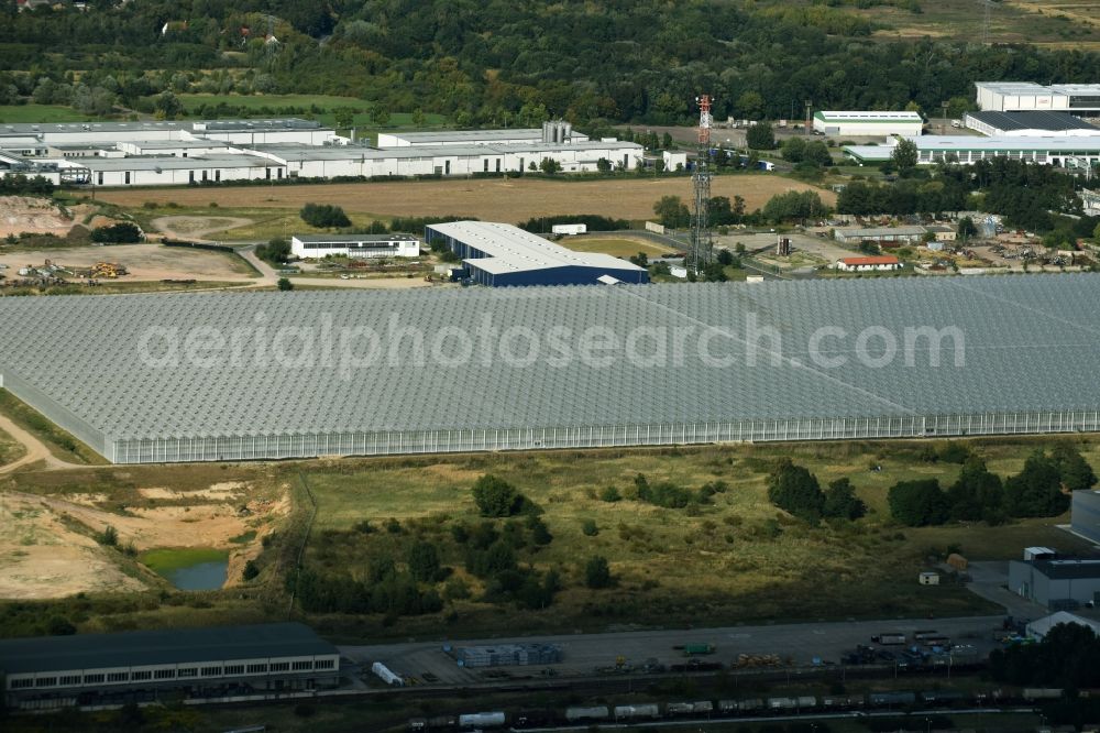 Aerial photograph Lutherstadt Wittenberg - New greenhouse for tomato cultivation of vegetables Wittenberg GmbH on Apollensdorf district - Piesteritz in Wittenberg in Saxony-Anhalt