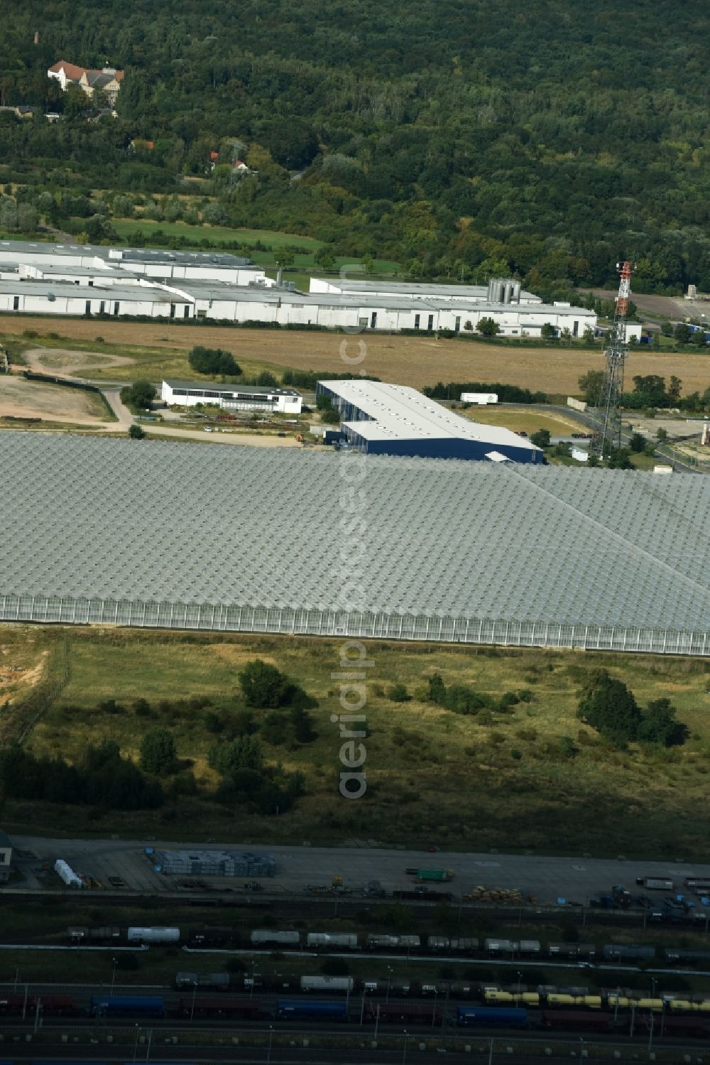 Lutherstadt Wittenberg from the bird's eye view: New greenhouse for tomato cultivation of vegetables Wittenberg GmbH on Apollensdorf district - Piesteritz in Wittenberg in Saxony-Anhalt