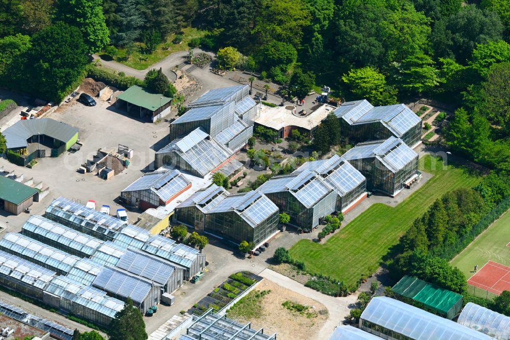 Aerial image Kiel - Glass roof areas in the greenhouse rows for plant cultivation at the Biology Center of the CAU Christian-Albrechts-University on the street Am Botanischen Garten in the district of Ravensberg in Kiel in the federal state of Schleswig-Holstein, Germany