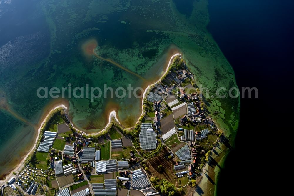 Reichenau from the bird's eye view: Rows of greenhouses for growing plants and Landwirtschaft in Reichenau in the state Baden-Wuerttemberg, Germany