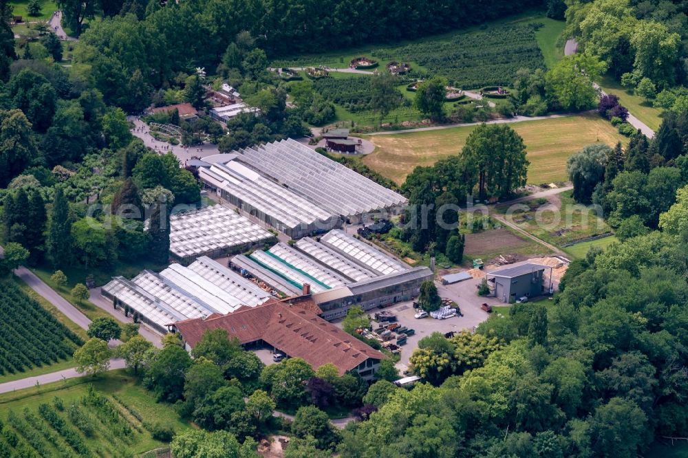 Konstanz from above - Rows of greenhouses for growing plants Schmetterlingshaus in Konstanz at island Mainau in the state Baden-Wuerttemberg, Germany