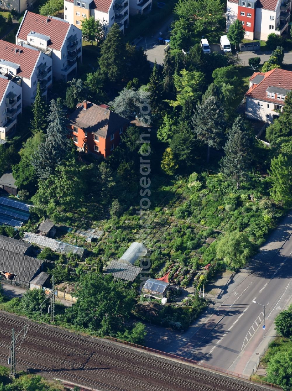 Dresden from the bird's eye view: Glass roof surfaces in the greenhouse rows for Floriculture in the district Prohlis in Dresden in the state Saxony, Germany