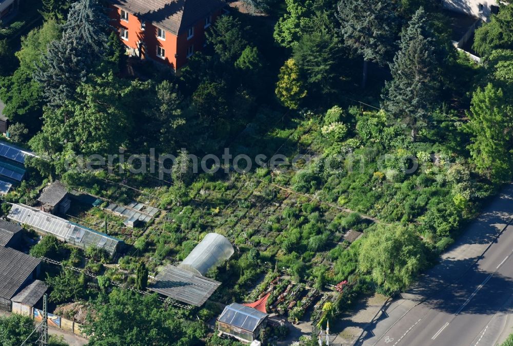 Aerial image Dresden - Glass roof surfaces in the greenhouse rows for Floriculture in the district Prohlis in Dresden in the state Saxony, Germany