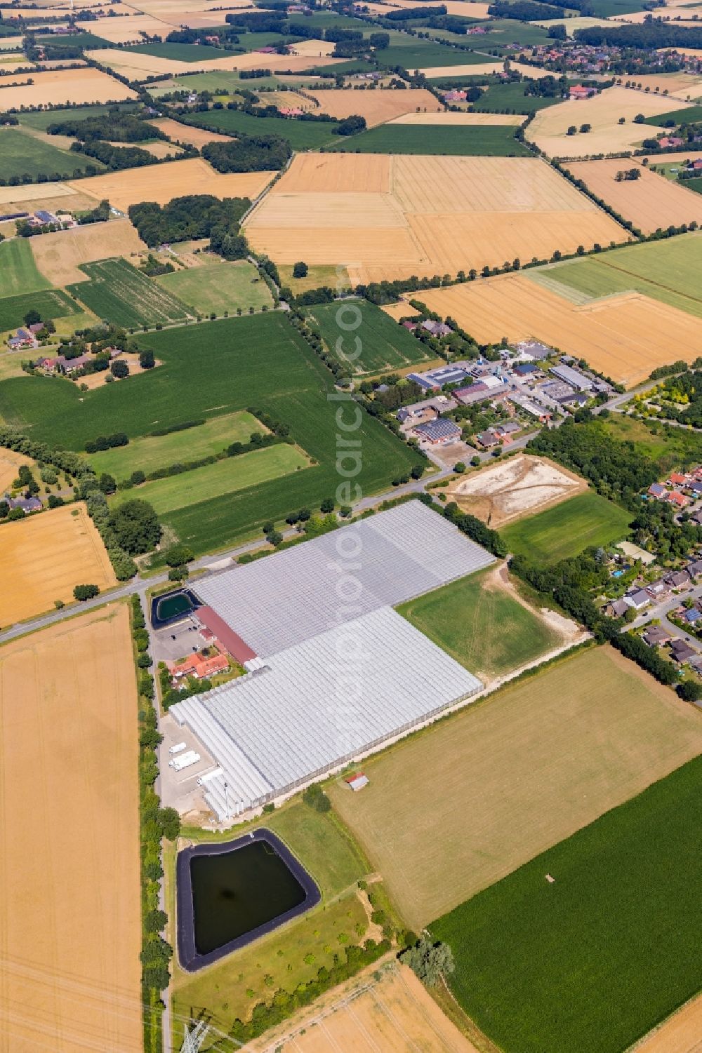 Ahlen from above - Glass roof surfaces in the greenhouse rows for Floriculture in Ahlen in the state North Rhine-Westphalia, Germany