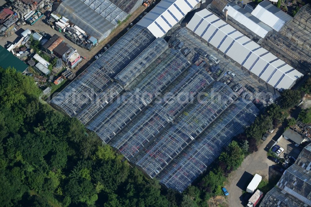 Aerial photograph Berlin - Glass roof surfaces in the greenhouse rows for Floriculture in Berlin in Germany