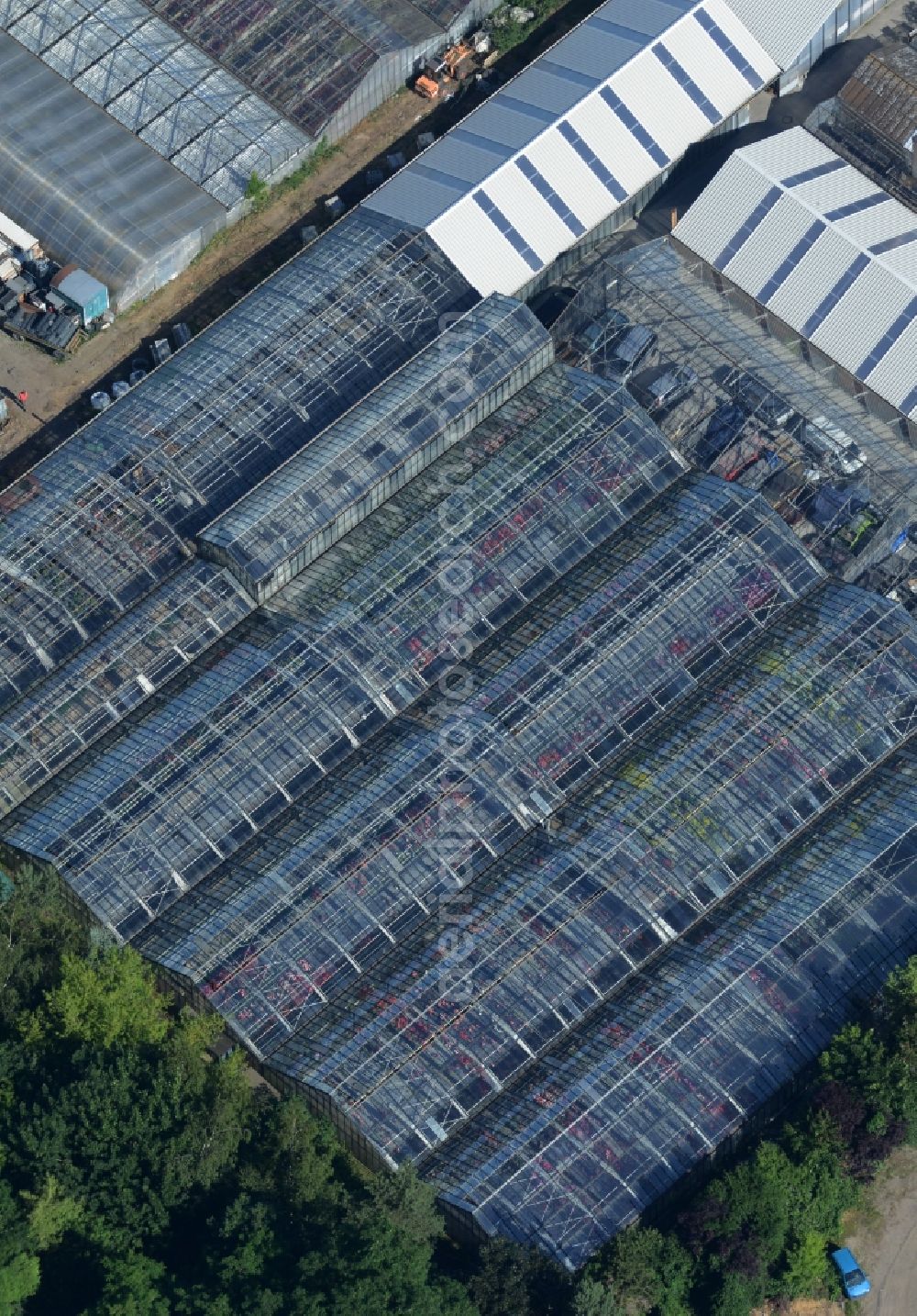 Berlin from above - Glass roof surfaces in the greenhouse rows for Floriculture in Berlin in Germany