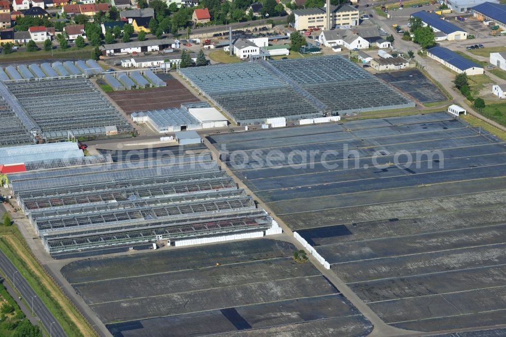 Aerial photograph Genthin - Glass roof surfaces in the greenhouse rows for Floriculture in Genthin in the state Saxony-Anhalt