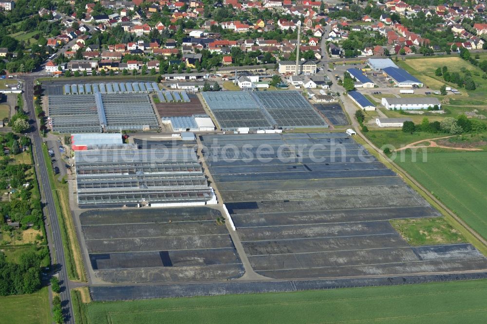 Genthin from above - Glass roof surfaces in the greenhouse rows for Floriculture in Genthin in the state Saxony-Anhalt