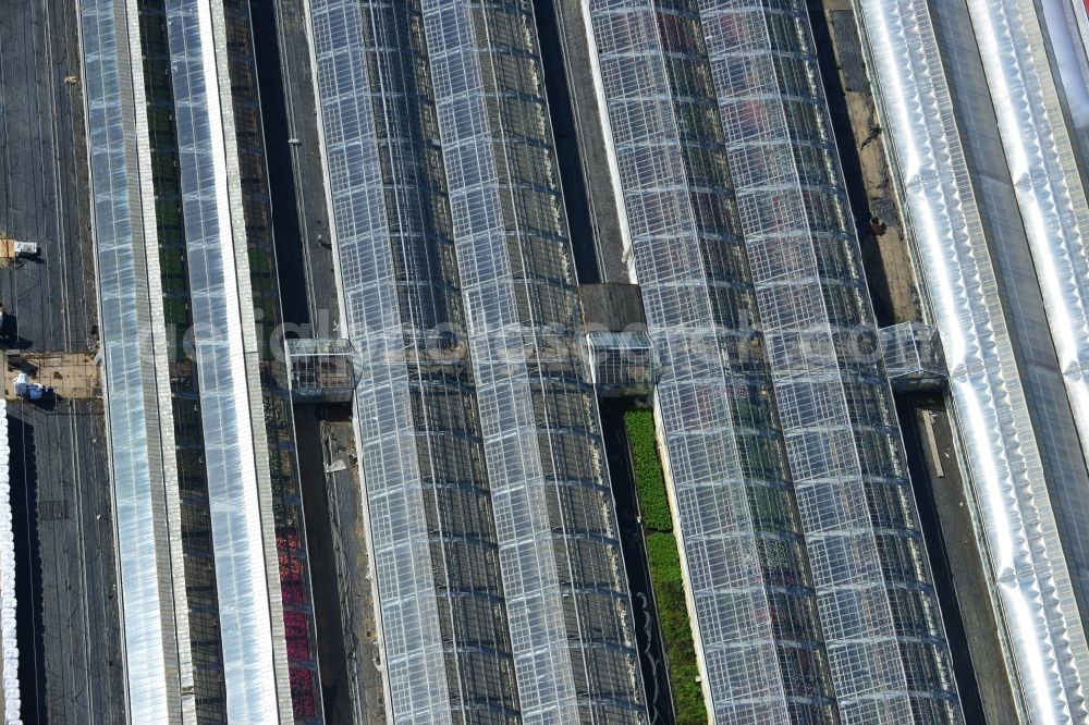 Aerial photograph Genthin - Glass roof surfaces in the greenhouse rows for Floriculture in Genthin in the state Saxony-Anhalt