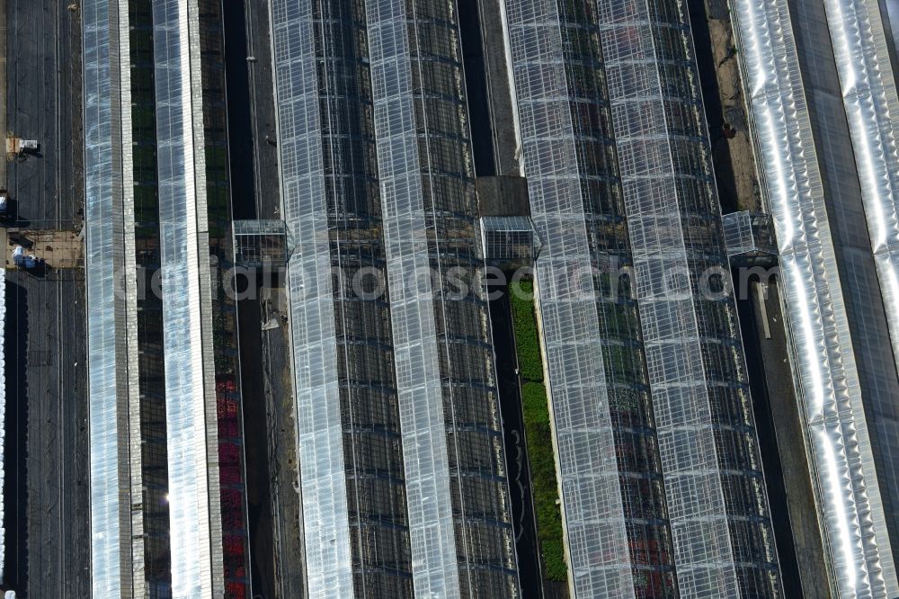 Genthin from above - Glass roof surfaces in the greenhouse rows for Floriculture in Genthin in the state Saxony-Anhalt