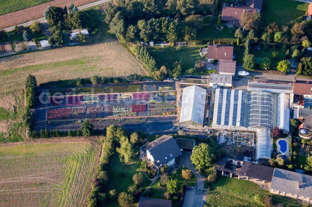 Aerial photograph Hirschaid - Glass roof surfaces in the greenhouse rows for Floriculture in Hirschaid in the state Bavaria, Germany