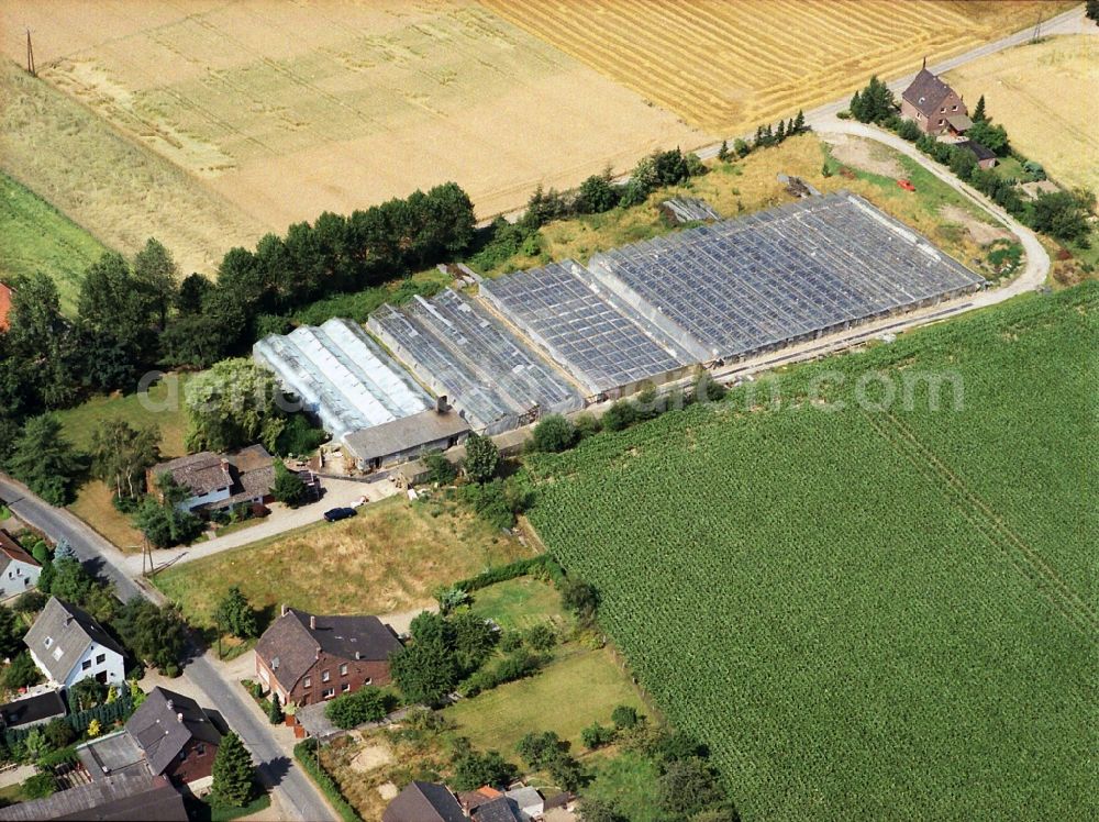 Aerial photograph Kamp-Lintfort - Glass roof surfaces in the greenhouse rows for Floriculture in Kamp-Lintfort in the state North Rhine-Westphalia