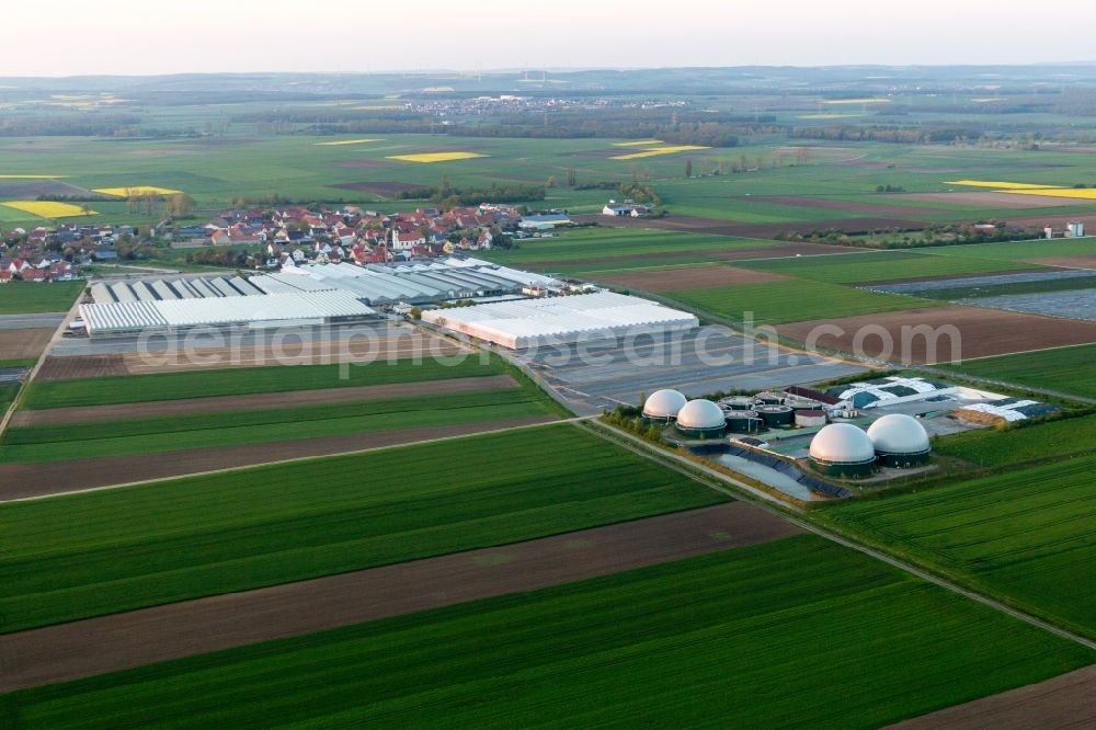 Kolitzheim from the bird's eye view: Glass roof surfaces in the greenhouse rows for Floriculture in the district Oberspiesheim in Kolitzheim in the state Bavaria, Germany