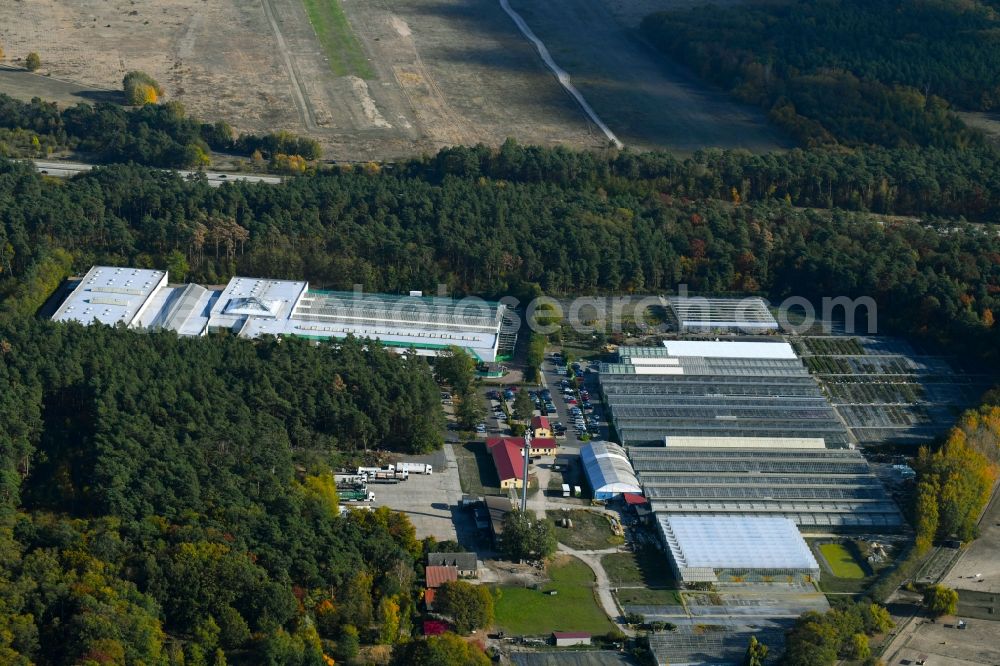 Aerial image Langerwisch - Glass roof surfaces in the greenhouse rows for Floriculture in Langerwisch in the state Brandenburg, Germany