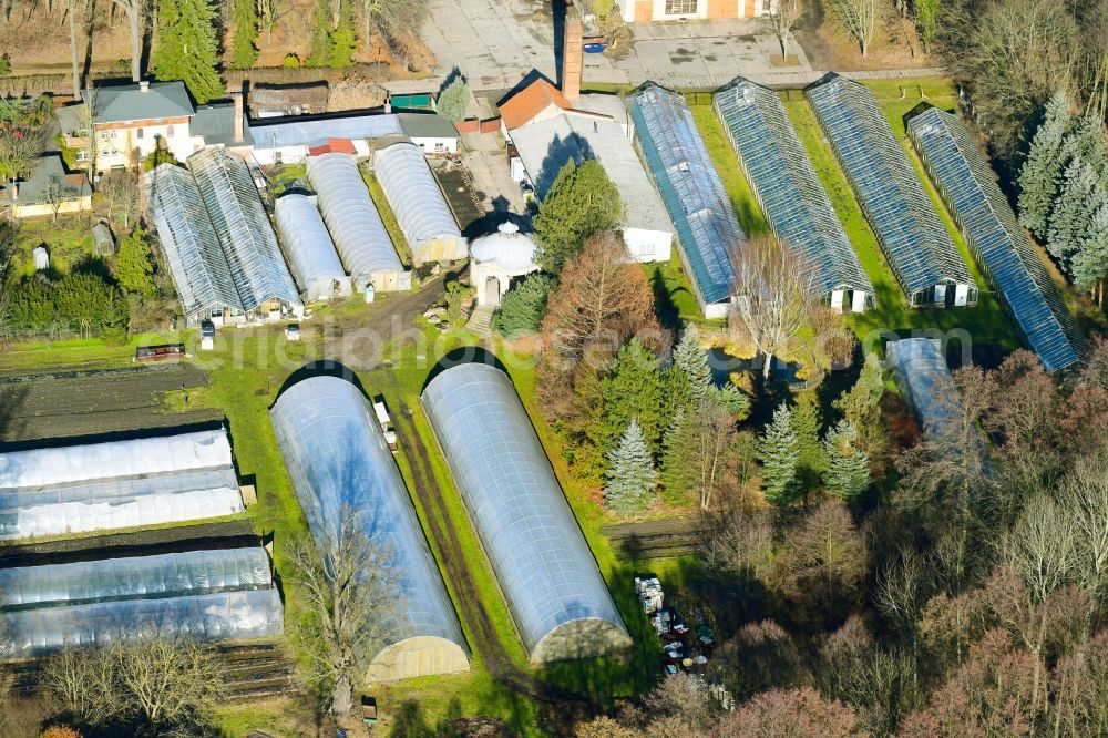 Lieberose from above - Glass roof surfaces in the greenhouse rows for Floriculture in Lieberose in the state Brandenburg, Germany