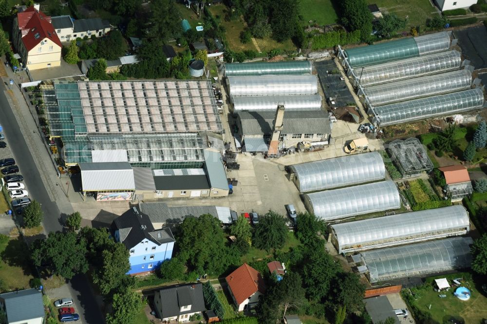 Aerial photograph Neuenhagen - Glass roof surfaces in the greenhouse rows for Floriculture in Neuenhagen in the state Brandenburg