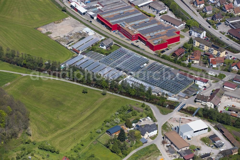 Aerial photograph Oppenau - Glass roof surfaces in the greenhouse rows for Floriculture in Oppenau in the state Baden-Wuerttemberg, Germany