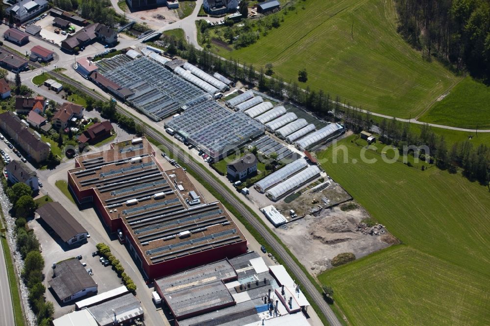 Oppenau from above - Glass roof surfaces in the greenhouse rows for Floriculture in Oppenau in the state Baden-Wuerttemberg, Germany