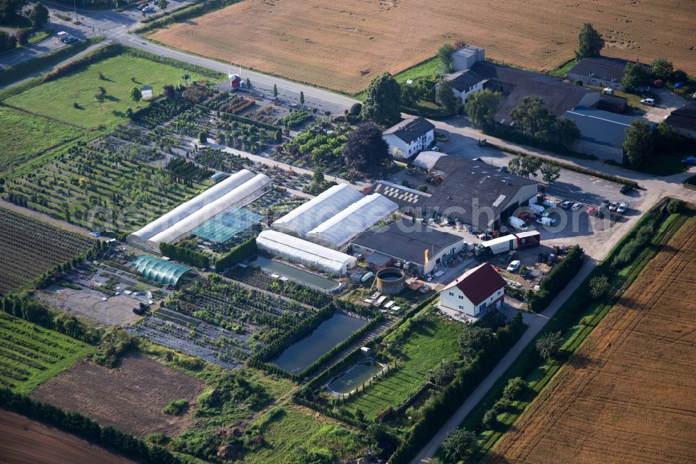 Aerial image Bensheim - Glass roof surfaces in the greenhouse rows for Floriculture in the district Auerbach in Bensheim in the state Hesse