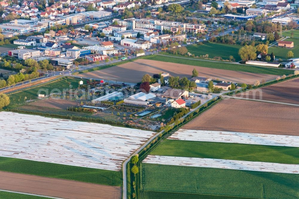 Bensheim from the bird's eye view: Glass roof surfaces in the greenhouse rows for Floriculture in the district Auerbach in Bensheim in the state Hesse, Germany