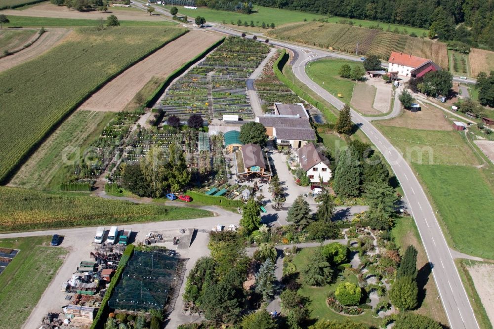 Kehl from above - Glass roof surfaces in the greenhouse rows for Floriculture in the district Bodersweier in Kehl in the state Baden-Wuerttemberg