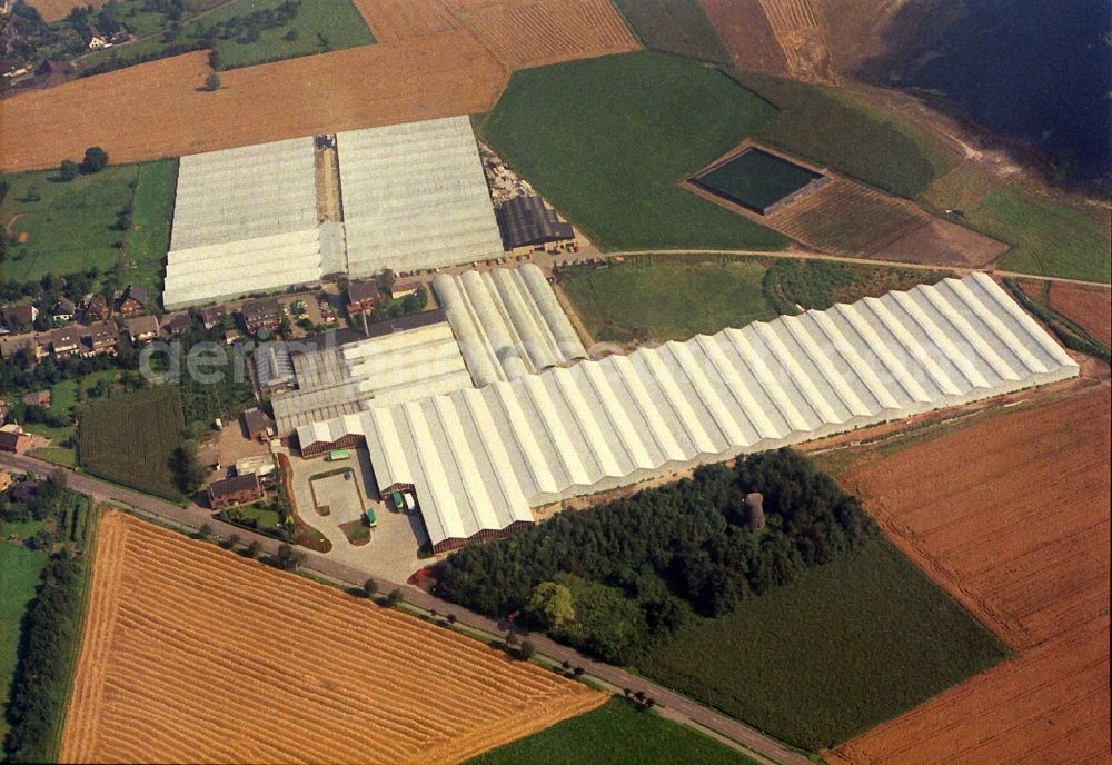 Rheinberg from above - Glass roof surfaces in the greenhouse rows for Floriculture in the district Eversael in Rheinberg in the state North Rhine-Westphalia